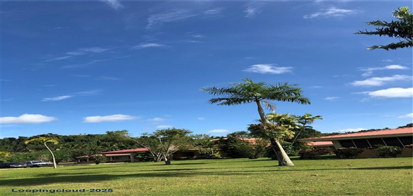 CARR 1, KM 21.3 BO. LA MUDA Guaynabo Puerto Rico, 00969 | The Earthly Paradise of the Caribbean