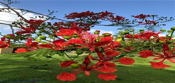 CARR 1, KM 21.3 BO. LA MUDA Guaynabo Puerto Rico, 00969 | The Earthly Paradise of the Caribbean