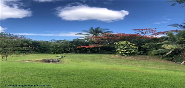 CARR 1, KM 21.3 BO. LA MUDA Guaynabo Puerto Rico, 00969 | The Earthly Paradise of the Caribbean