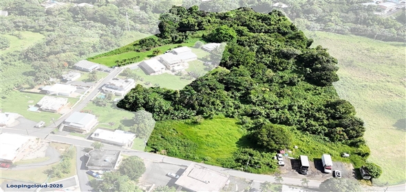 PR-165 Km 5.0 BO. QUEBRADA CRUZ Toa Baja Puerto Rico,  | PR-165 KM 5.0 BO. QUEBRADA CRUZ TOA ALTA, PR 00953