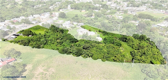 PR-165 Km 5.0 BO. QUEBRADA CRUZ Toa Baja Puerto Rico,  | PR-165 KM 5.0 BO. QUEBRADA CRUZ TOA ALTA, PR 00953