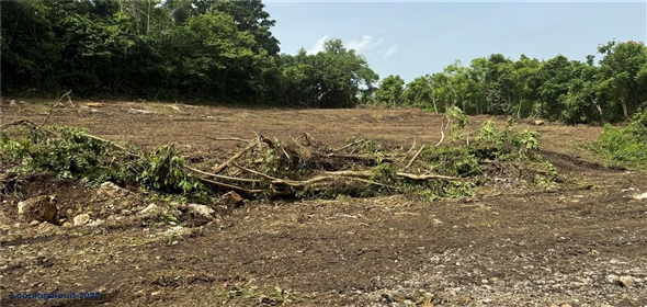 CARR 111 BO CIDRAL SECTOR PALMARITO San Sebastian Puerto Rico, 00685 | CARR 111 BO CIDRAL SECTOR PALMARITO, SAN SEBASTIAN, PR 00685