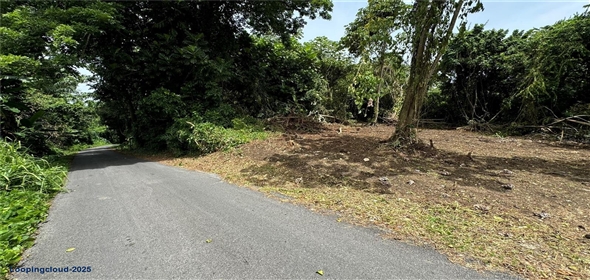 CARR 111 BO CIDRAL SECTOR PALMARITO San Sebastian Puerto Rico, 00685 | CARR 111 BO CIDRAL SECTOR PALMARITO, SAN SEBASTIAN, PR 00685