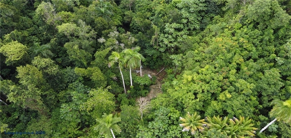 CARR 111 BO CIDRAL SECTOR PALMARITO San Sebastian Puerto Rico, 00685 | CARR 111 BO CIDRAL SECTOR PALMARITO, SAN SEBASTIAN, PR 00685