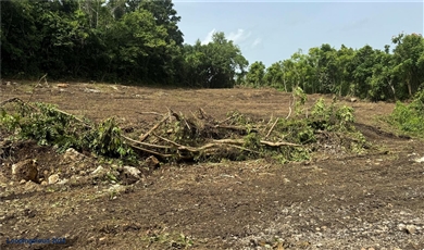  CARR 111 BO CIDRAL SECTOR PALMARITO, SAN SEBASTIAN, PR 00685