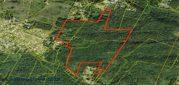 BO. JUNCAL PR-111 San Sebastian Puerto Rico, 00685 | BO. JUNCAL PR-111, SAN SEBASTIAN, PR 00685