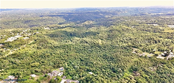 BO. JUNCAL PR-111 San Sebastian Puerto Rico, 00685 | BO. JUNCAL PR-111, SAN SEBASTIAN, PR 00685