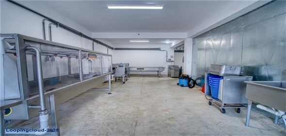 Sector Palmasola BO. BUENOS AIRES Aguadilla Puerto Rico, 00669 | Turnkey Agricultural Investment in Lares