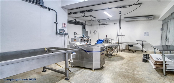 Sector Palmasola BO. BUENOS AIRES Aguadilla Puerto Rico, 00669 | Turnkey Agricultural Investment in Lares