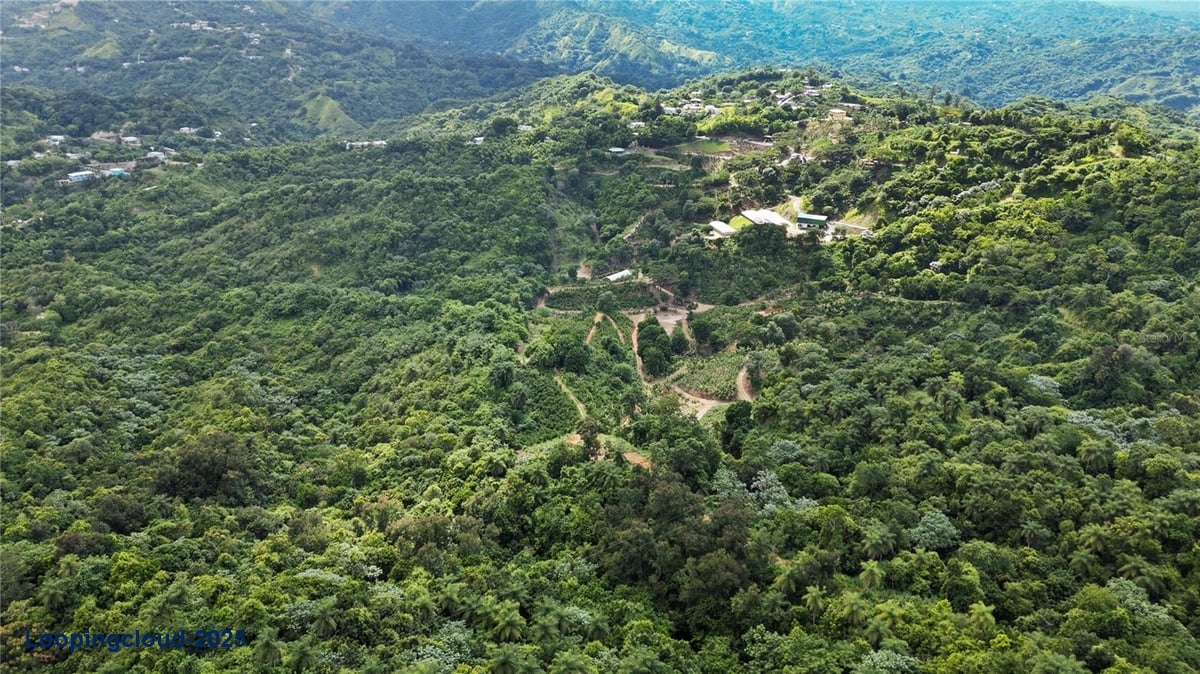 Land for Sale in Adjuntas Puerto Rico 00664