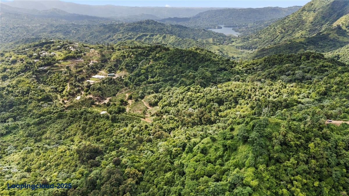 Land for Sale in Adjuntas Puerto Rico 00664