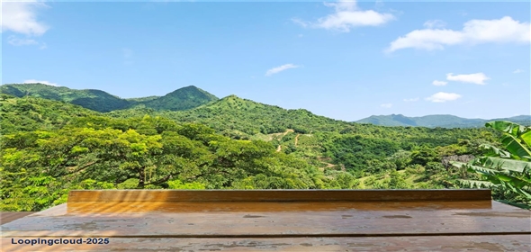 Bo. Hoyos Planes CARR. 531 KM 1 HM 7 Adjuntas Puerto Rico, 00664 | Finca Hoyos Planes: Fully Operational Coffee Estate in Puerto Rico's Heartland