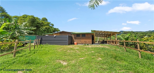 Bo. Hoyos Planes CARR. 531 KM 1 HM 7 Adjuntas Puerto Rico, 00664 | Finca Hoyos Planes: Fully Operational Coffee Estate in Puerto Rico's Heartland