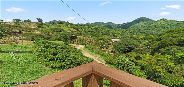 Bo. Hoyos Planes CARR. 531 KM 1 HM 7 Adjuntas Puerto Rico, 00664 | Finca Hoyos Planes: Fully Operational Coffee Estate in Puerto Rico's Heartland