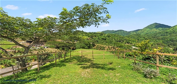 Bo. Hoyos Planes CARR. 531 KM 1 HM 7 Adjuntas Puerto Rico, 00664 | Finca Hoyos Planes: Fully Operational Coffee Estate in Puerto Rico's Heartland