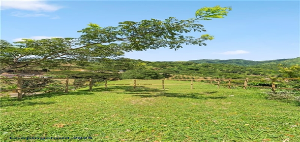 Bo. Hoyos Planes CARR. 531 KM 1 HM 7 Adjuntas Puerto Rico, 00664 | Finca Hoyos Planes: Fully Operational Coffee Estate in Puerto Rico's Heartland