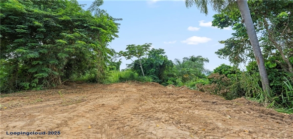 Bo. Hoyos Planes CARR. 531 KM 1 HM 7 Adjuntas Puerto Rico, 00664 | Finca Hoyos Planes: Fully Operational Coffee Estate in Puerto Rico's Heartland