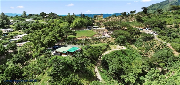 Bo. Hoyos Planes CARR. 531 KM 1 HM 7 Adjuntas Puerto Rico, 00664 | Finca Hoyos Planes: Fully Operational Coffee Estate in Puerto Rico's Heartland