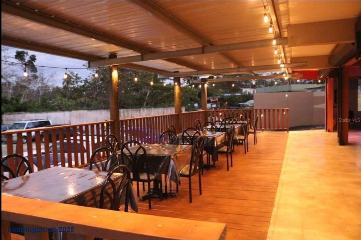 Commercial Property for Sale in Adjuntas Puerto Rico 00602