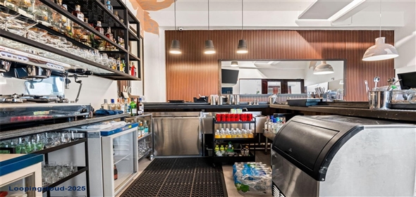 157 CALLE LUNA San Juan Puerto Rico, 00901 | Three-story Commercial Property