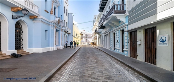 157 CALLE LUNA San Juan Puerto Rico, 00901 | Three-story Commercial Property