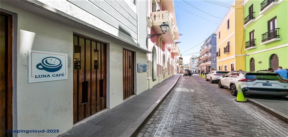 157 CALLE LUNA San Juan Puerto Rico, 00901 | Three-story Commercial Property