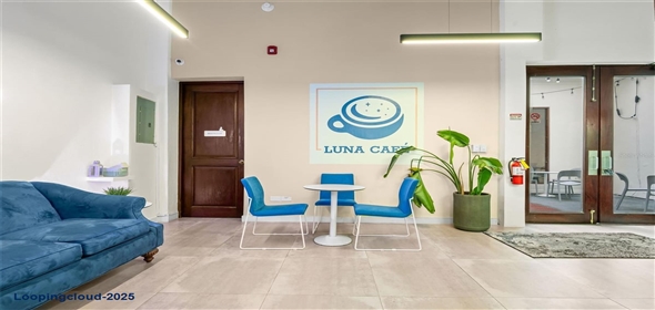 157 CALLE LUNA San Juan Puerto Rico, 00901 | Three-story Commercial Property