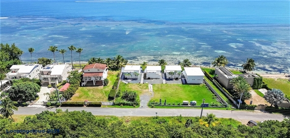 14 CAMINO LAS PICUAS Rio Grande Puerto Rico, 00745 | Stunning Beachfront Property