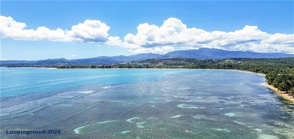 14 CAMINO LAS PICUAS Rio Grande Puerto Rico, 00745 | Stunning Beachfront Property