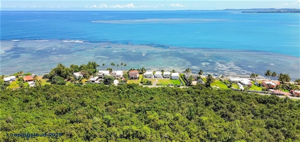 14 CAMINO LAS PICUAS Rio Grande Puerto Rico, 00745 | Stunning Beachfront Property