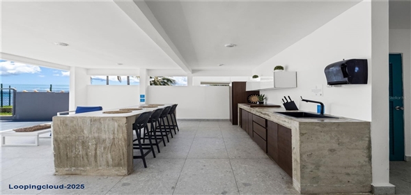 14 CAMINO LAS PICUAS Rio Grande Puerto Rico, 00745 | Stunning Beachfront Property