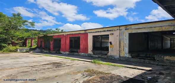 LOT 1 PR 174 KM 22.7 SONADORA WARD Adjuntas Puerto Rico, 00703 | Strategic Industrial Factory for Sale in Aguas Buenas