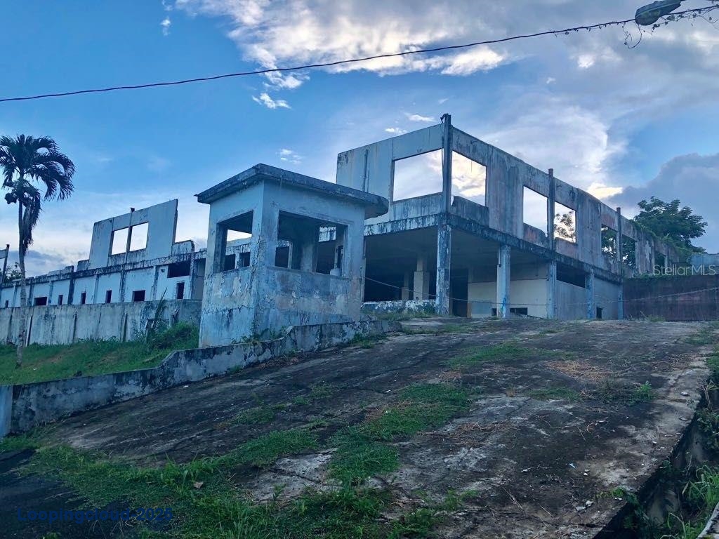 Commercial Property for Sale in Adjuntas Puerto Rico 00703
