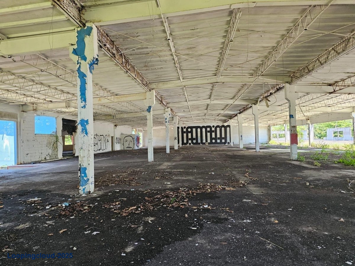 Commercial Property for Sale in Adjuntas Puerto Rico 00703