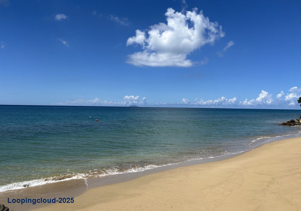 58835, Beachfront Condo!