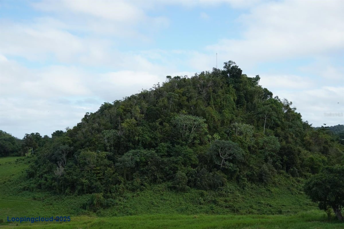 Land for Sale in Quebradillas Puerto Rico 00678