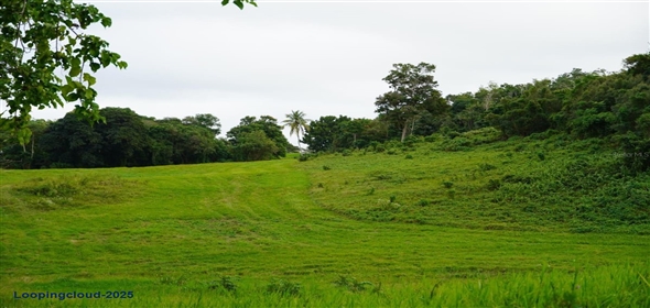 480 CALLE S. TOSADO Quebradillas Puerto Rico, 00678 | Commercial land for Sale
