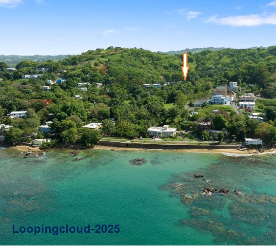 Commercial Property for Sale in Rincon Puerto Rico 00677