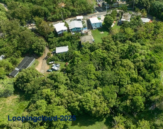 Commercial Property for Sale in Rincon Puerto Rico 00677