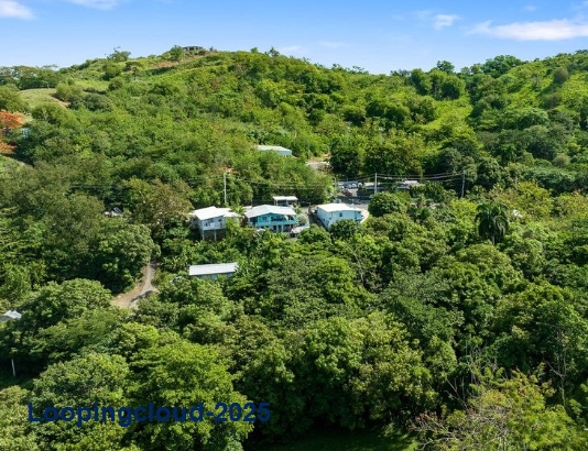 Commercial Property for Sale in Rincon Puerto Rico 00677