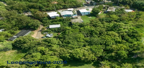 Bo Barrero- Carr 429 Rincon Puerto Rico, 00677 | 55376, Beautiful lot of 2702 square meters