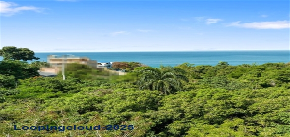 Bo Barrero- Carr 429 Rincon Puerto Rico, 00677 | 55376, Beautiful lot of 2702 square meters