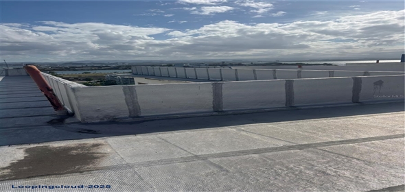 260 CONSTITUCION San Juan Puerto Rico, 00901 | 12-Unit Building in a Strategic Location