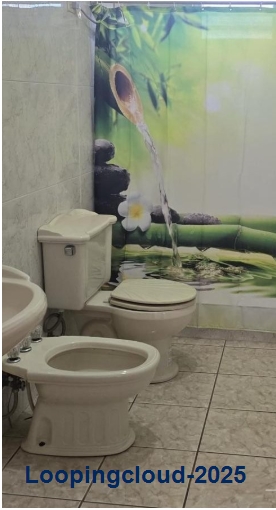 61928, Bring your furniture, start your paradise