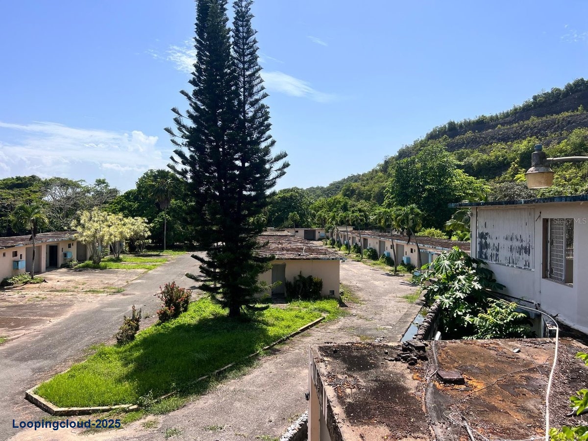 Commercial Property for Sale in Arecibo Puerto Rico 00612