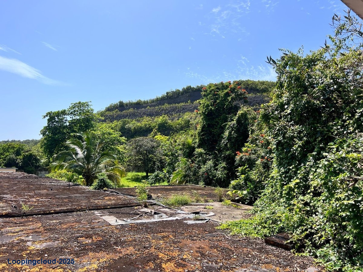 Commercial Property for Sale in Arecibo Puerto Rico 00612