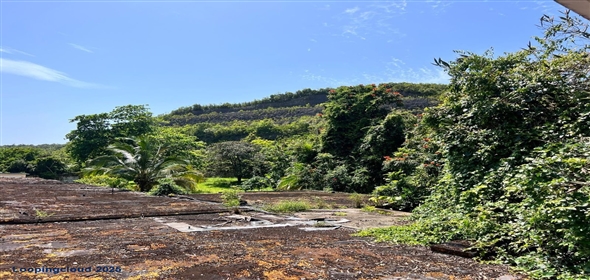 factor BO. FACTOR Arecibo Puerto Rico, 00612 | Exclusive Property for Sale