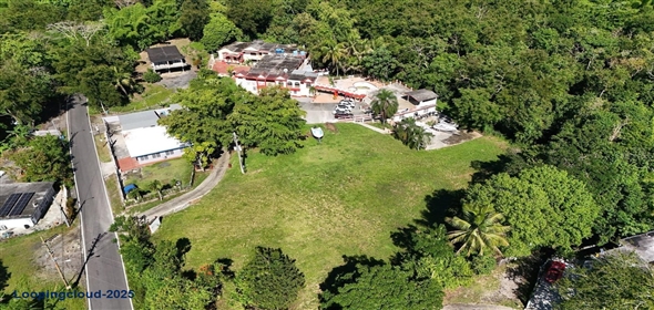Carr. 361, Km. 0.8 BO. CAÍN ALTO San Germán Puerto Rico, 00683 | Versatile Commercial Property