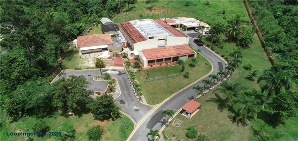 C-26 ARCENIA Aibonito Puerto Rico, 00705 | C-26 ARCENIA, AIBONITO, PR 00705