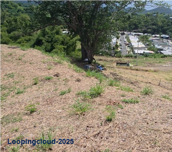 62067, Build your coastal dream with ocean views